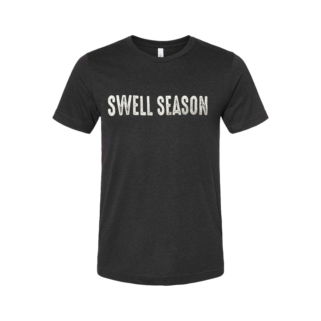 swell season tour shirt